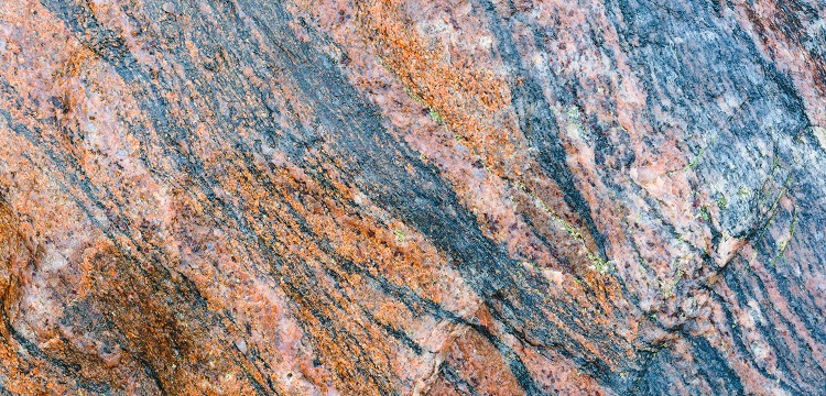 2022年廣東省最新林業(yè)碳匯申報(bào)要求匯總：方法學(xué)、申報(bào)模板、材料清單