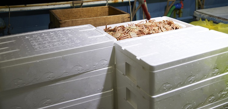 管道檢測(cè)cctv檢測(cè)技術(shù)的應(yīng)用及檢測(cè)流程匯總