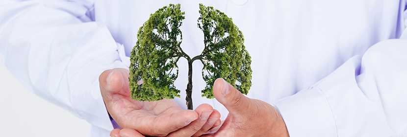 新風凈化機檢測