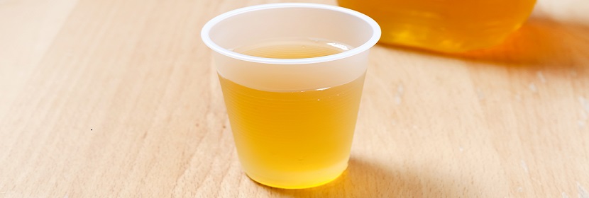 聚乳酸熱成型杯檢測