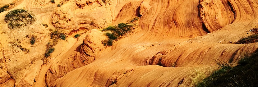 地質(zhì)儀器長霉試驗(yàn)