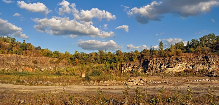 牡丹籽檢測,牡丹籽營養成分含量檢測