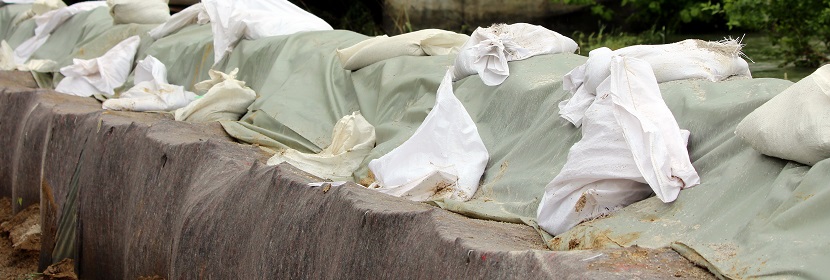 小鼠剛果紅廓清實(shí)驗(yàn)?zāi)Ｐ?><p>小鼠剛果紅廓清實(shí)驗(yàn)?zāi)Ｐ?/p></a></div>			
				</div>			
<div   id=