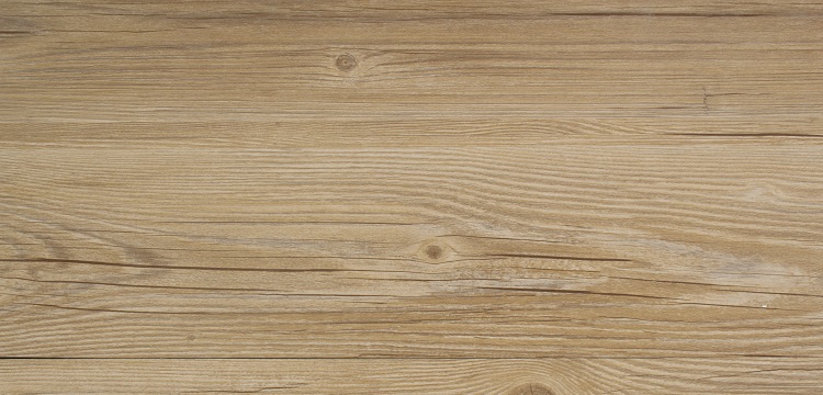 BAPN誘導(dǎo)小鼠胸主動(dòng)脈瘤模型