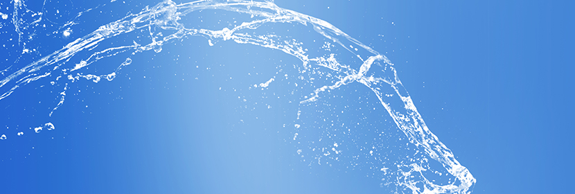 鄰氯苯酚檢測(cè)