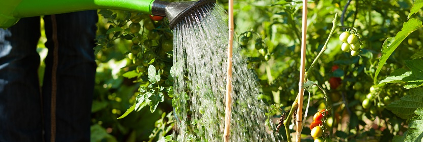 一水硫酸亞鐵檢測(cè)