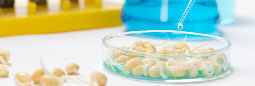 鎂合金鑄件檢測(cè)