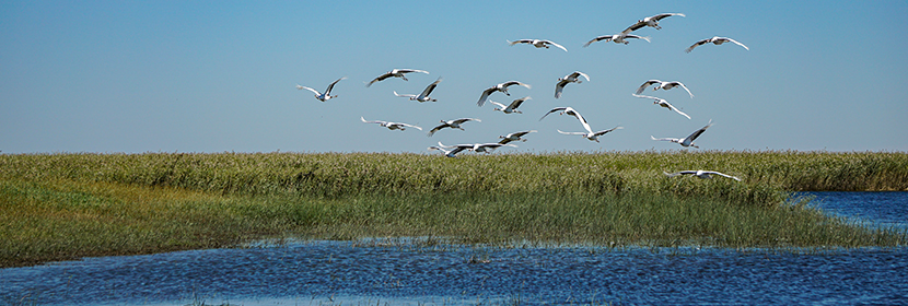 鋼材屈服檢測(cè)