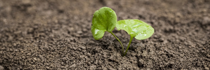 礦物浮選劑檢測(cè)