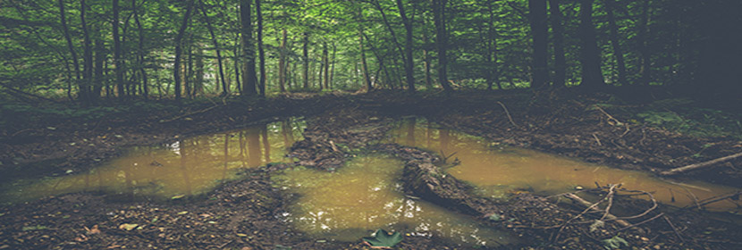 介質(zhì)土檢測(cè)