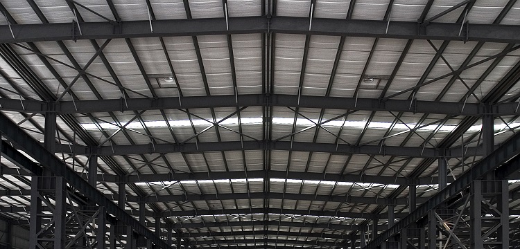 丙烯酰胺凝膠檢測