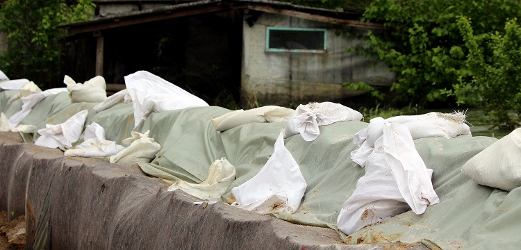 乙酸纖維素檢測