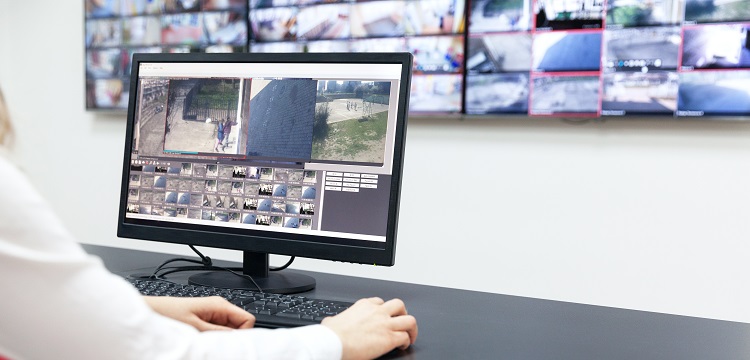 甲基呋喃檢測(cè)