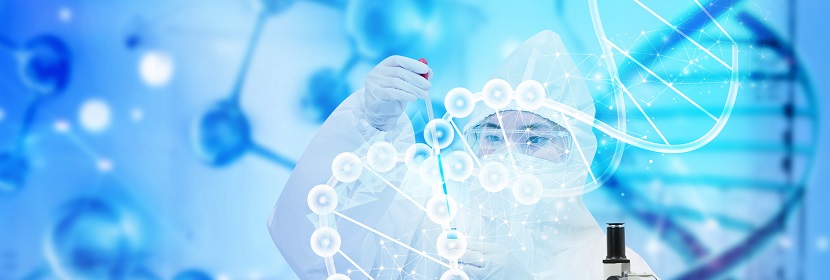 阻尼片檢測(cè)