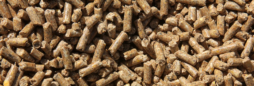 飼料中大腸菌群檢測(cè)