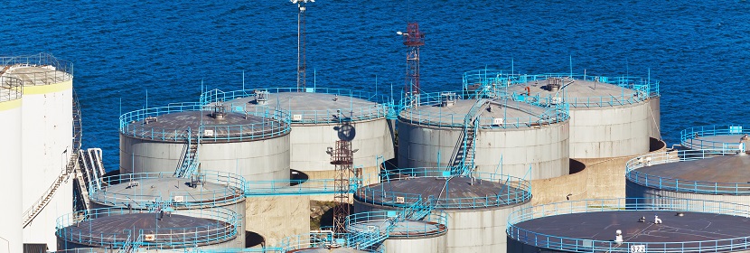 抗氧化酶檢測(cè)