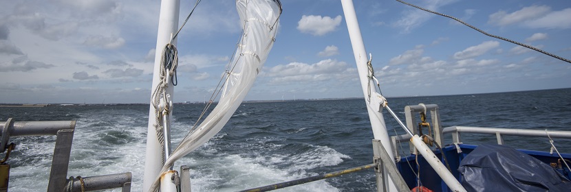 一次性使用輸血器檢測