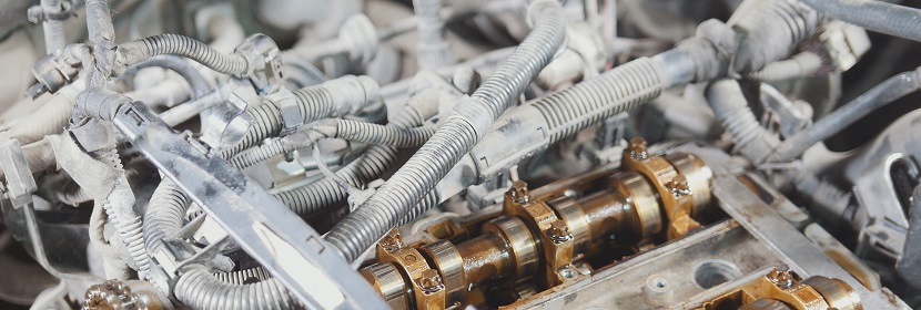 細(xì)胞溶液檢測