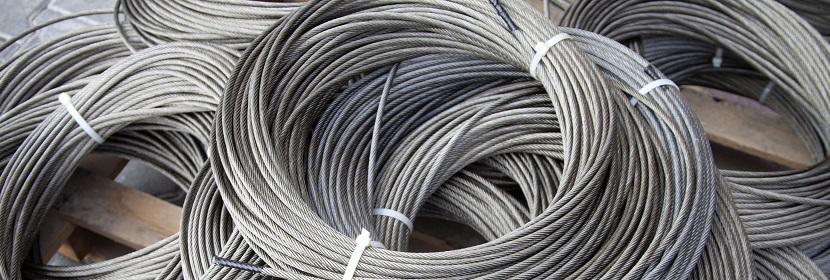 肺炎克雷伯菌抑菌試驗(yàn)