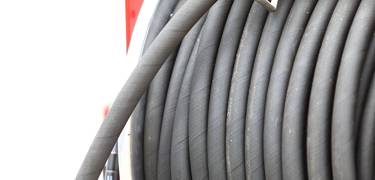 藥活性試驗(yàn)