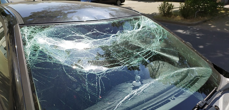 乙酸氧化酶檢測(cè)