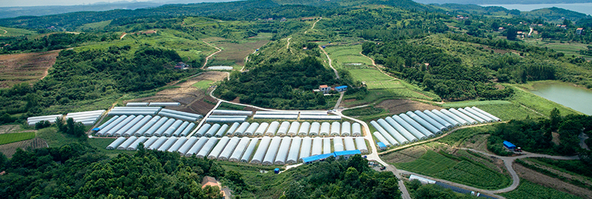 農(nóng)用地土壤排查