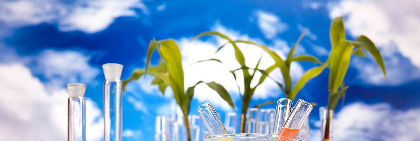 水溶性磷酸一銨檢測