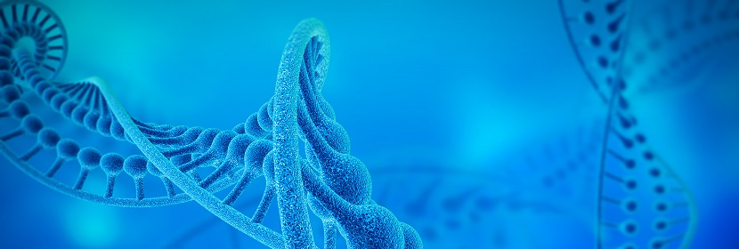 化妝品體外哺乳動物細(xì)胞基因突變試驗(yàn)