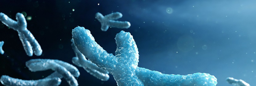 化妝品哺乳動物骨髓細(xì)胞染色體畸變試驗(yàn)