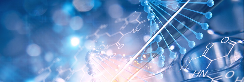 專(zhuān)用竹片炭檢測(cè)