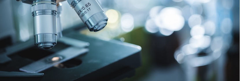 食品包裝用紙與塑料復(fù)合膜、袋檢測