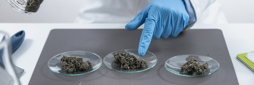 工業用異丙苯檢測