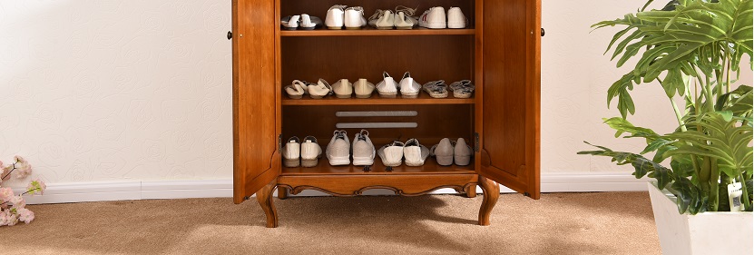 多功能電子鞋柜檢測